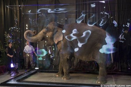 Слон в мыльном пузыри - удивительное достижение!