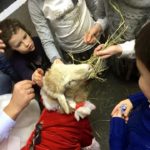 ФЕНСИ БАБЛС - Коллектив артистов Егора Хахуляка, шоу мыльных пузырей FANCY BUBBLES